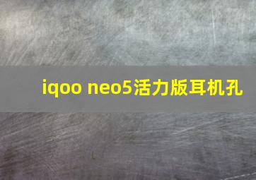 iqoo neo5活力版耳机孔